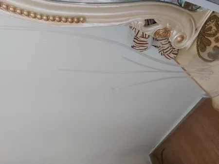 استند بادکنک طرح 7 شاخه مدل a12