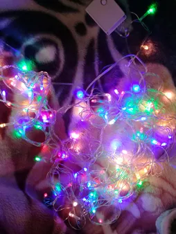 ریسه ال ای دی کد 100-LED طول 10 متر