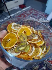 تجریه خرید میوه و سبزی خشک کن سایا مدل GP-102