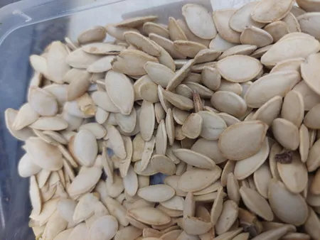 تخمه کدو گوشتی چاپار مقدار 400 گرم