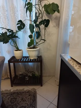 استند گلدان مدل 65