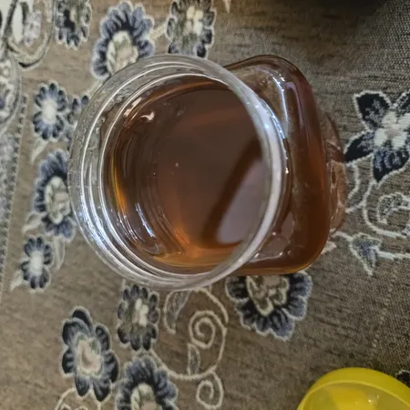 عسل طبیعی سبلان گون گز خام الماس کوهستان - 1 کیلوگرم