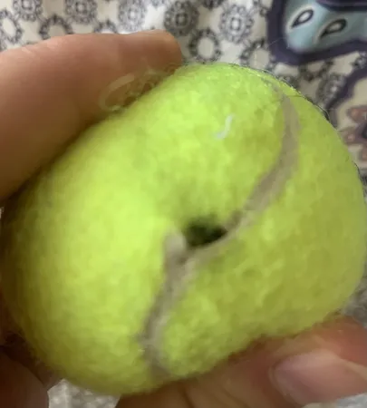 توپ تنیس کد Tb-2 بسته 3 عددی