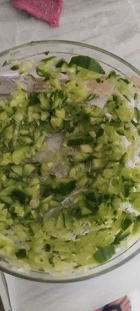 خرد کن دستی اوتیا کد 01