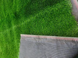 تجریه خرید چمن مصنوعی مدل Europe-S35 سایز 3×2 متر