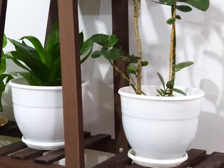 گلدان طرح ارکیده کد 164