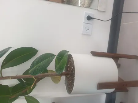 استند گلدان مدل آتروپات مجموعه 3 عددی