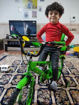 دوچرخه شهری پورت لاین مدل چیچک سایز 20