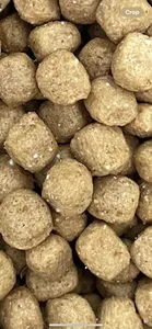 تجریه خرید غذای خشک گربه سلبن مدل Indoor Cat وزن 2.5 کیلوگرم