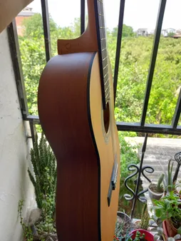 گیتار پارسی مدل M2
