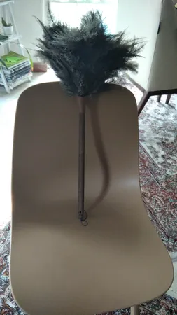 گردگیر مشهد داستر مدل Ostrich