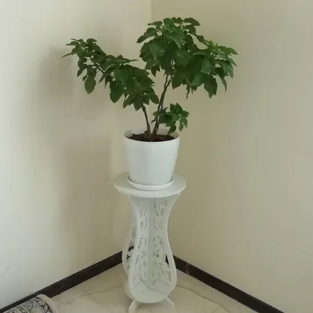 استند گلدان پلی نایس مدل 005 سایز کوچک