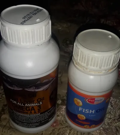 روغن کبد ماهی تایتان مدل cod liver وزن 500 گرم