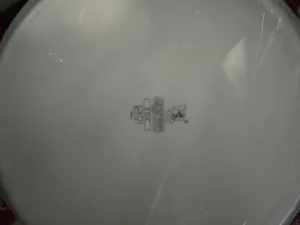 تجریه خرید سرویس غذاخوری 102 پارچه چینی زرین ایران سری رادیانس مدل White درجه یک