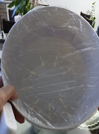 گلدان مدل استوانه ای مهر و ماه کد 804