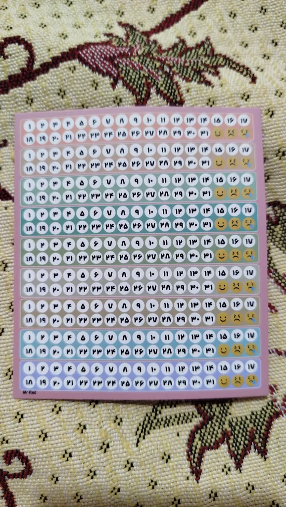 کیف پد بهداشتی فیوری مدل گربه کیوت فانتزی کد 2364 به همراه کیف پول