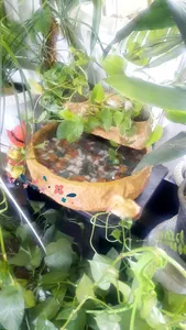 تجریه خرید آب نما سنگدانه مدل AB125