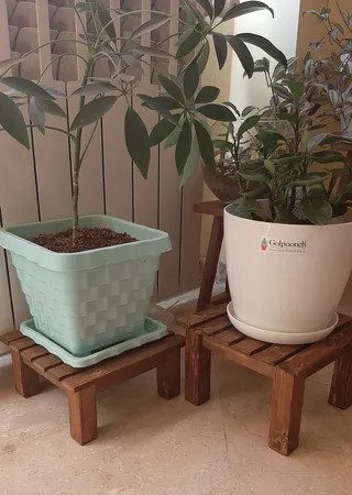 استند گلدان مدل NETWg02 مجموعه 2 عددی