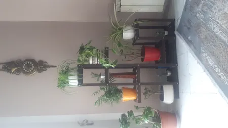 استند گلدان مدل fl9