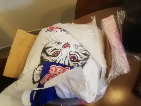 خاک بستر گربه تاینی کت مدل P1 وزن 10 کیلوگرم