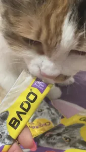 تجریه خرید تشویقی گربه بادو مدل بستنی طعم میکس وزن 45 گرم بسته 3 عددی