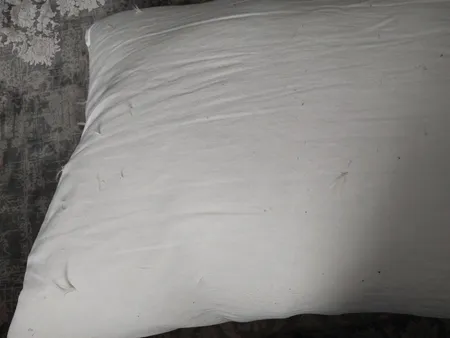 بالش مدل پر شسته شده