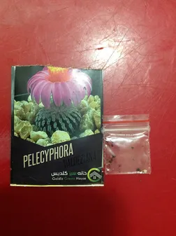 بذر پلسیفورا والدزیانا خانه سبز گلدیس کد 1402 بسته 10 عددی