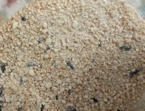 تجریه خرید مکمل غذای پرندگان مدل پودر سوخاری کد 10g وزن 100 گرم