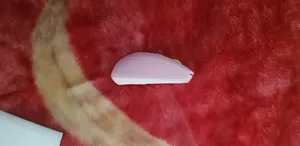 تجریه خرید ماوس بی سیم لاجی کی مدل M244GR