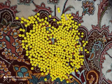 تیر تفنگ کد 22 بسته 500 عددی