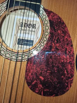 گلپیدور گیتار مدل R11