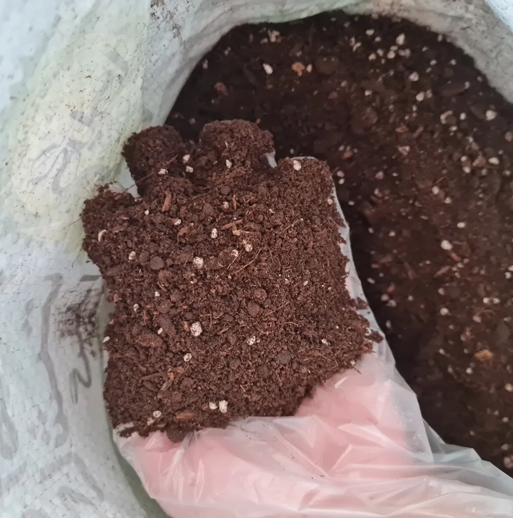 خاک گلدان گیلدا کد GK11L حجم 11 لیتر