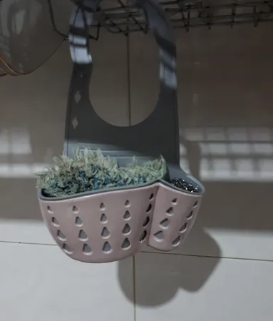 جا اسکاچی مدل whome si