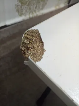 میز تحریر تاشو سپهر یاس کد 70-1