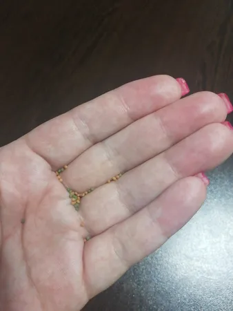 غذای خشک ماهی انرژی مدل مینی گرانول 20 گرم