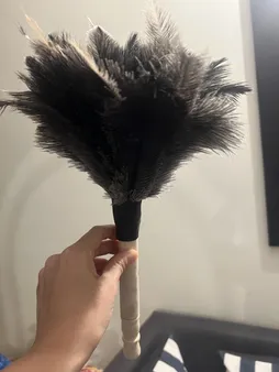 گردگیر مدل 21