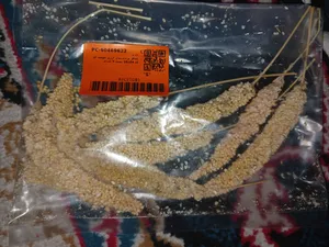 تجریه خرید غذای پرنده مدل ارزن خوشه ای کد 20104 بسته 5 عددی