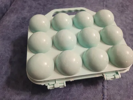 ظرف نگهدارنده تخم مرغ مدل نیکسون