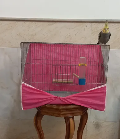 کاور قفس حیوانات کد 1030