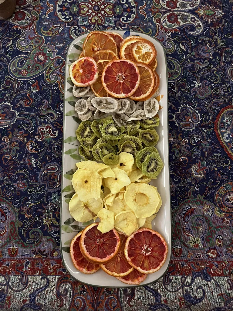 میوه خشک کن سایا مدل Papaya