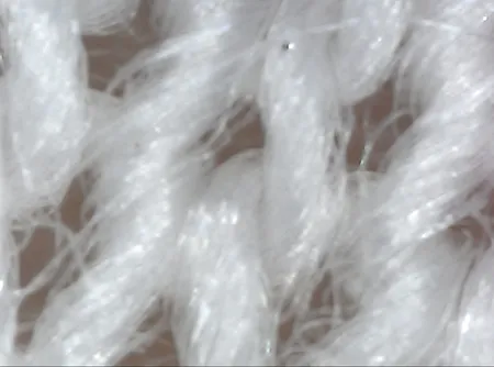 میکروسکوپ دیجیتال مدل 1000X