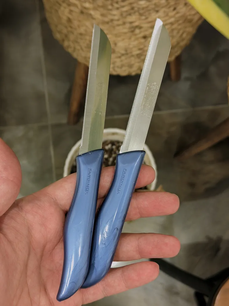 چاقو آشپزخانه فاردینوکس مدل Berlini 02 بسته دو عددی