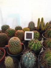 تجریه خرید سنسور رطوبت و دما شیائومی مدل LYWSD03MMC