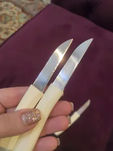 تجریه خرید کارد میوه‌خوری روک مدل کریستال مجموعه شش عددی