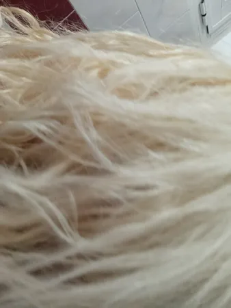 ماسک مو تاپ شاپ مدل روغن آرگان حجم 250 میلی لیتر