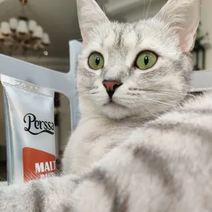 تجریه خرید خمیر مالت گربه پرسا مدل malt+vitamin وزن 100 گرم