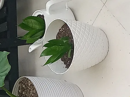 گلدان مدل 25