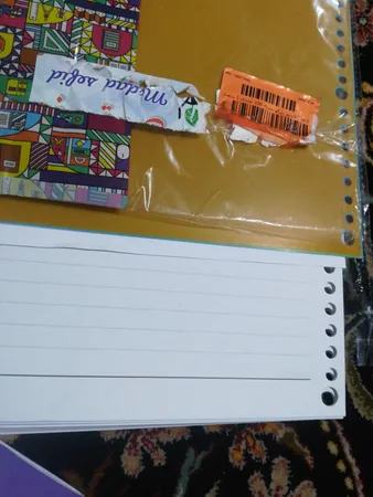 کاغذ کلاسور پاپکو مدل دو خط بسته 100 عددی