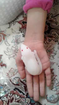 عکس ارسالی خریدار