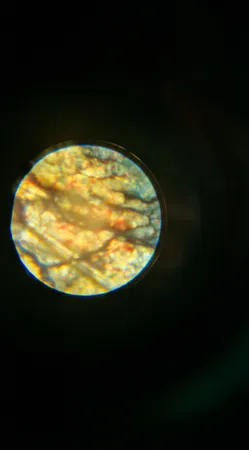 میکروسکوپ مدل 1200X